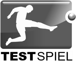 Testspiel-silber